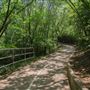 Bob Findlay Linear Park
