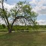 Cravens Park
