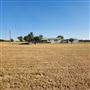 Braley Ranch