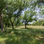 Kelley Park