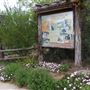 The Molly Hollar Wildscape