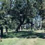 Sweeny Cemetery