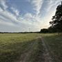 Fairlea Longhorn Ranch