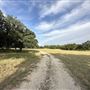 Fairlea Longhorn Ranch