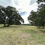 Fairlea Longhorn Ranch
