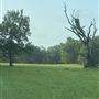 Bishop Property