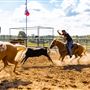Dead Cat Ranch