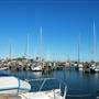 Rockport Harbor