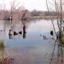 Mineola Nature Preserve