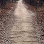 Mineola Nature Preserve