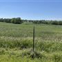 7D Hay & Cattle LLC