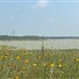 Lake Daniel
