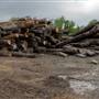 Parrish Lumber
