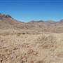 Cibolo Creek Ranch
