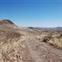 Cibolo Creek Ranch
