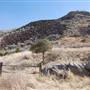 Cibolo Creek Ranch