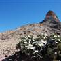 Big Bend National Park - Cerro Castellan