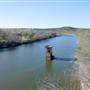 Brazos River near Mineral Wells