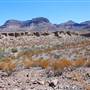 Big Bend Ranch State Park - Three Dike Hill