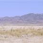 Ranch Road 505