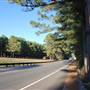 HWY 21 (East of Bastrop)