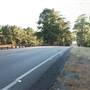 HWY 21 (East of Bastrop)