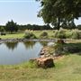Country View Golf Course