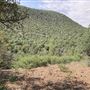Hess Property