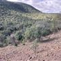 Hess Property
