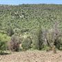 Hess Property