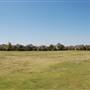 Tom Allen Jr. Park