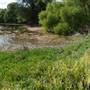 Onion Creek at CR 236