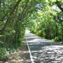 Gloria Road