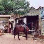Enchanted Springs Ranch