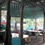 Polvo's