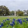 Old Baylor Park