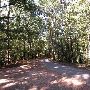 Caddo Lake State Park - Roads