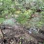 Lost Creek at Wimberley