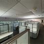 Vivaverse Campus