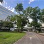 Vivaverse Campus
