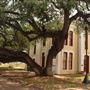 Historic Wilson County Jail & Museum