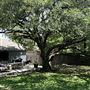 Alejandro House