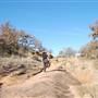 Enchanted Rock State Natural Area