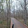 Palmetto State Park