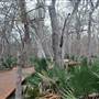 Palmetto State Park