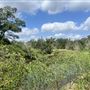 McDonald Cedar Creek Legacy Estate