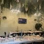 Savor Tapas Bar