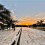 Chick Ranch