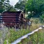 Chick Ranch