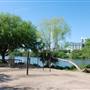 Auditorium Shores